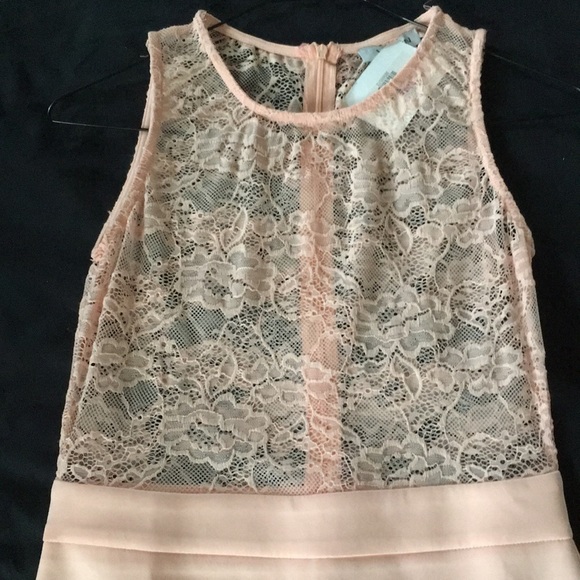 Scalloped Edge Dress - Picture 3 of 3